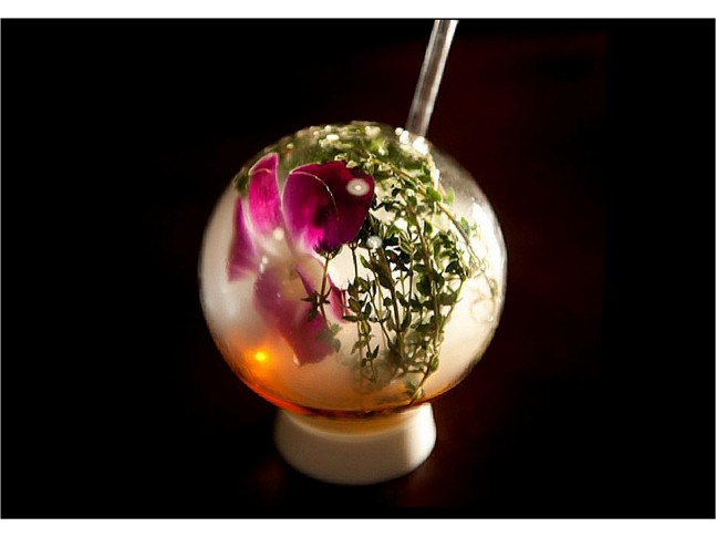 Halm Glasses - Set of 2