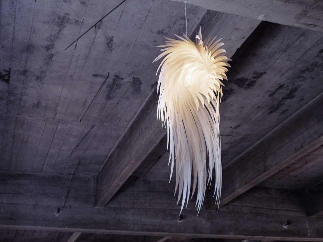 Icarus