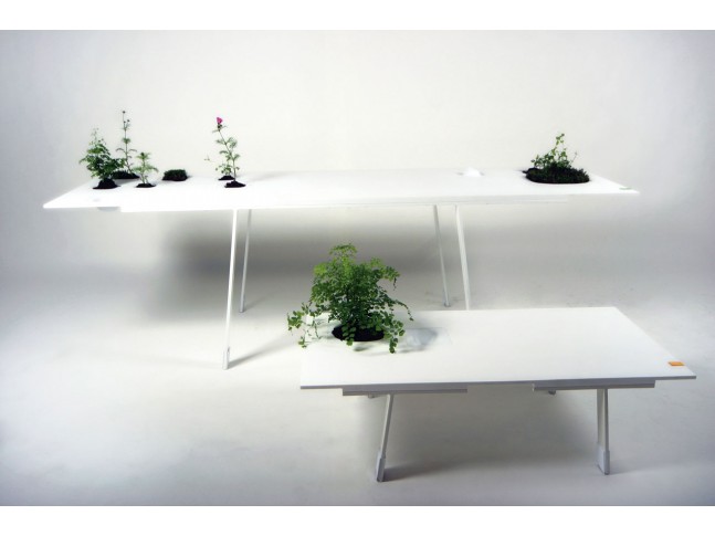 Topo Table