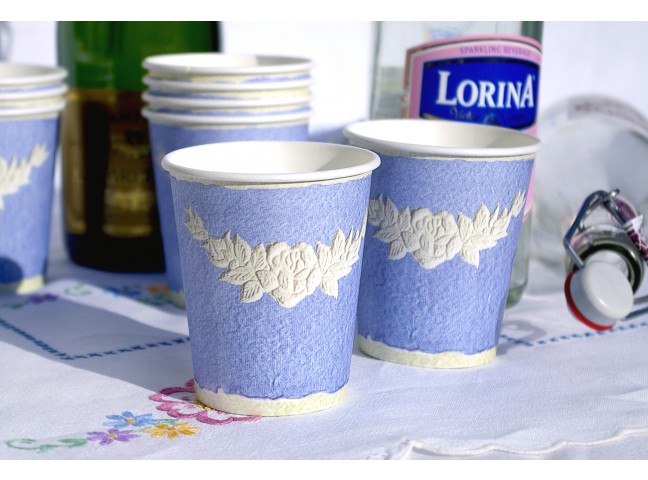 Finest Paperware Disposable Cups