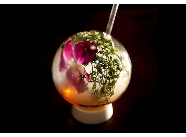 Halm Glasses - Set of 2