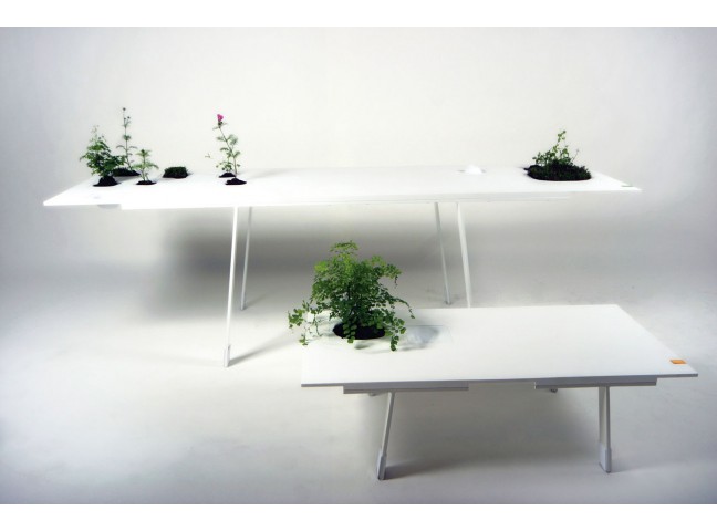 Topo Table