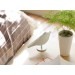 Bird Alarm Clock