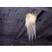 Icarus