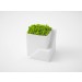 Ienami Planter