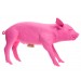 Pig Bank