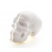 Yorick Skull Lamp