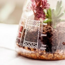 Chemistry Terrarium Kit