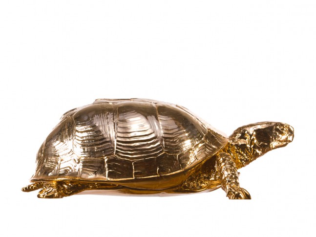 Turtle Box